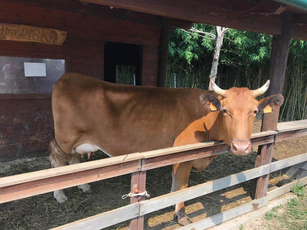 Allevamenti di qualità - Società agricola Montecanto